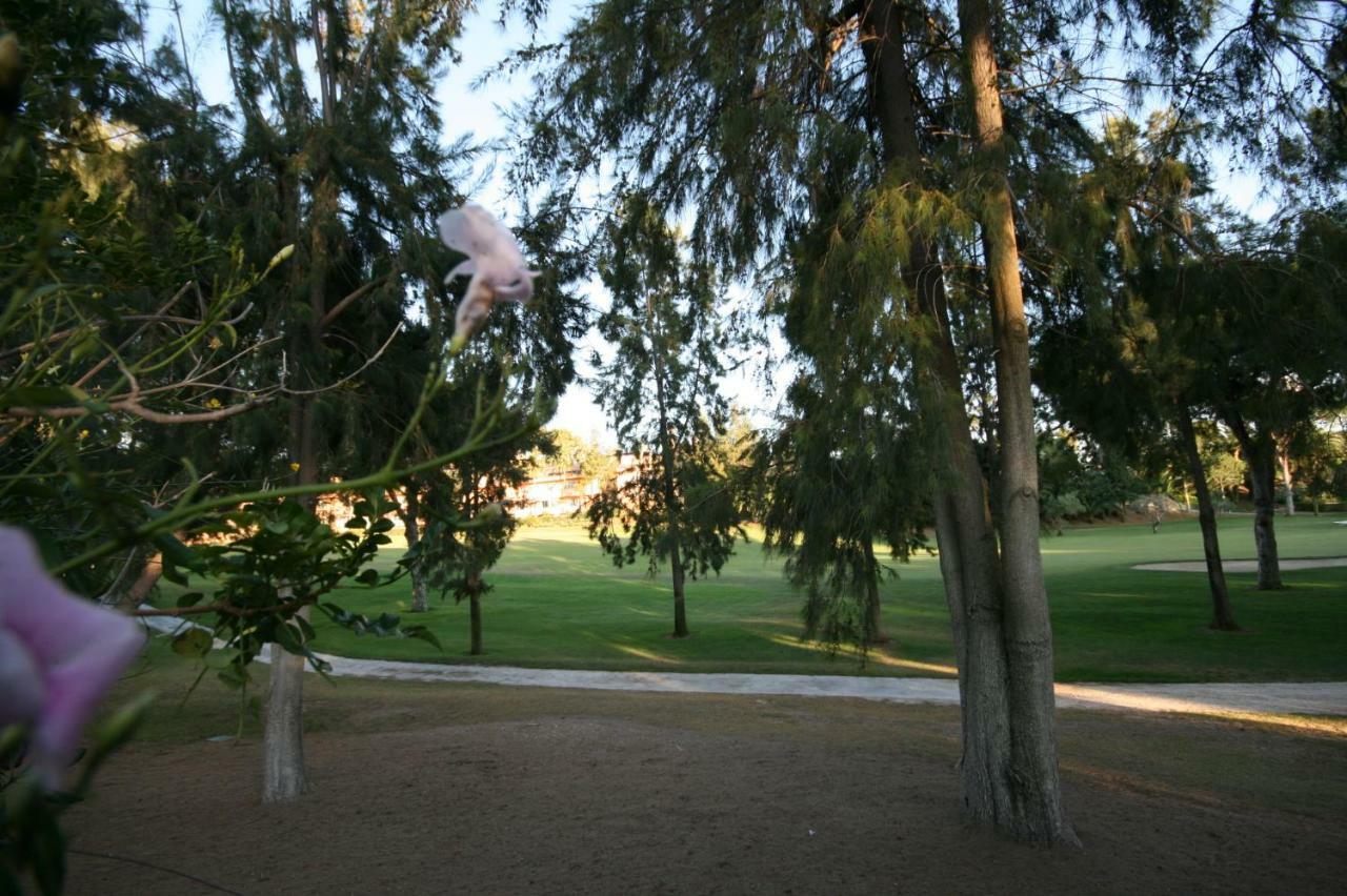 Greenlife Village